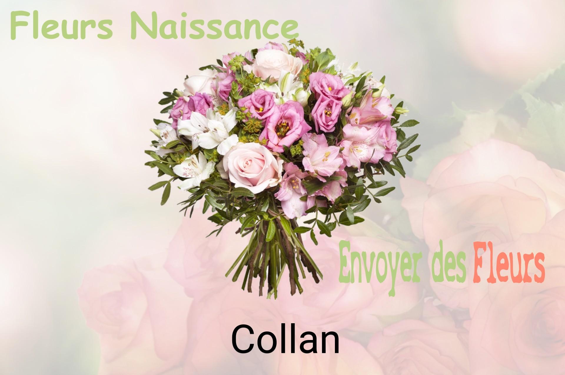 Bouquet de fleurs de naissance livré à Collan