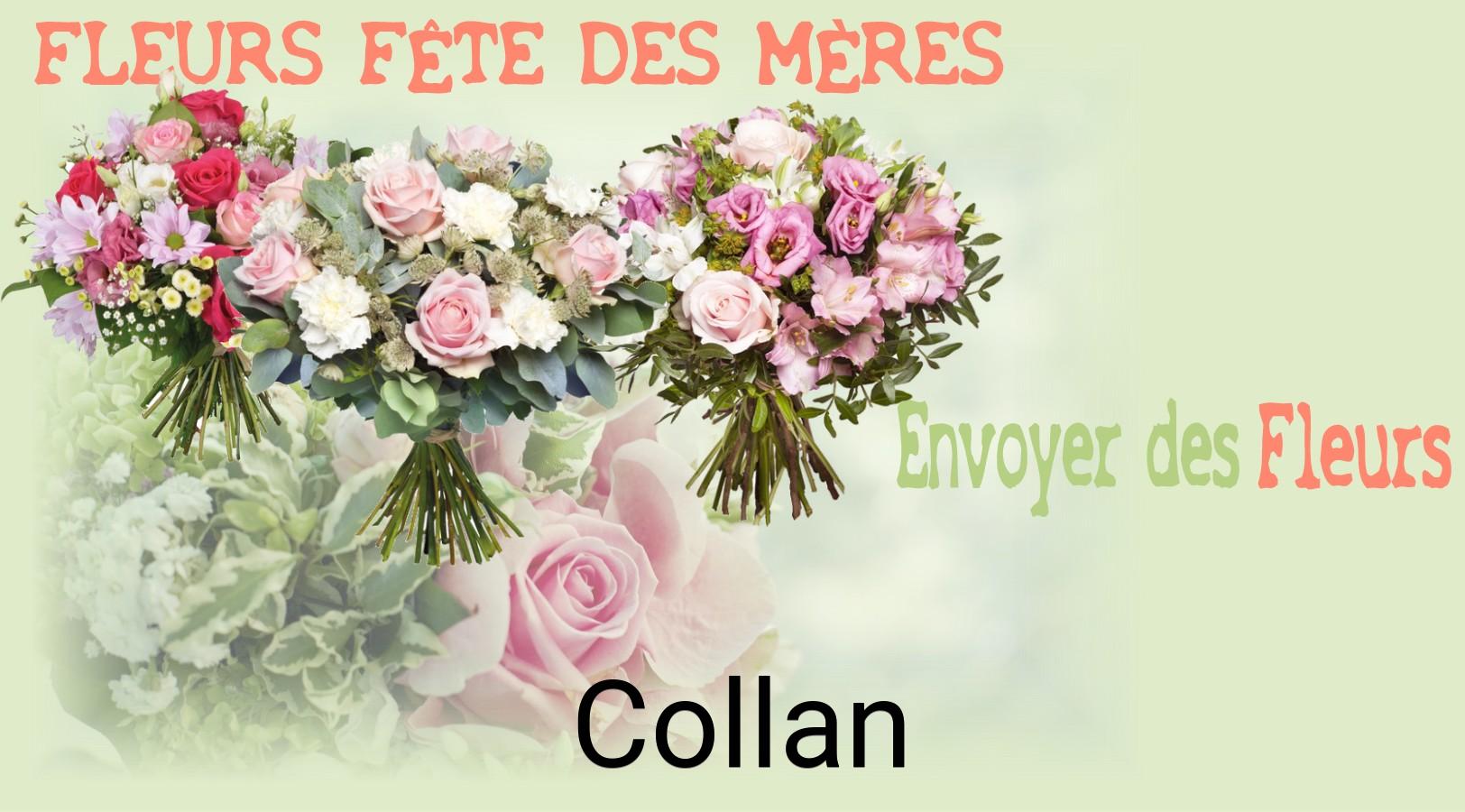 Bouquet de Fête des Mères livré à Collan